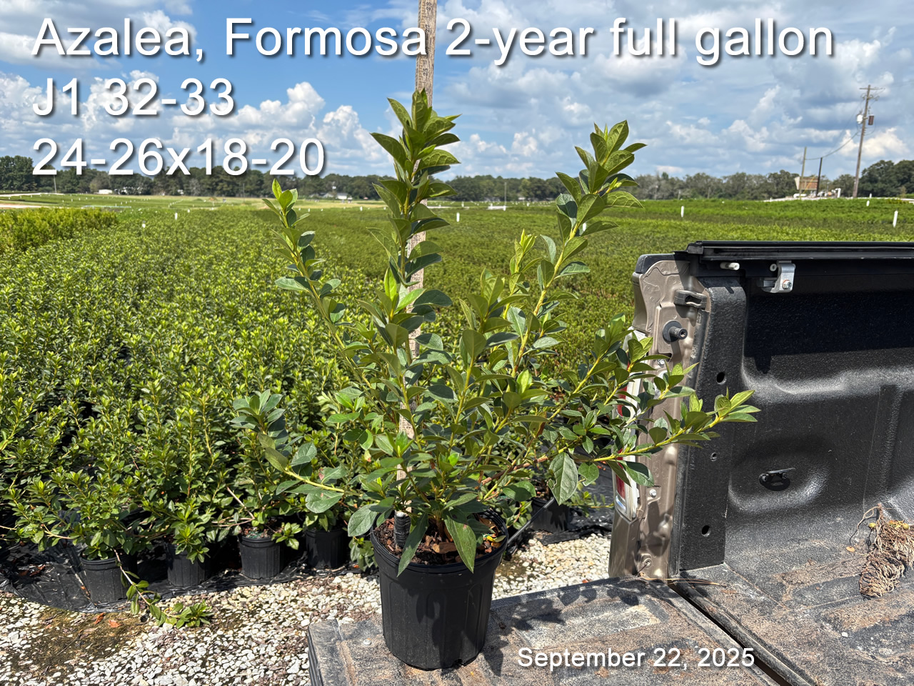 gallery/form2yf j1.32 sept22.jpg